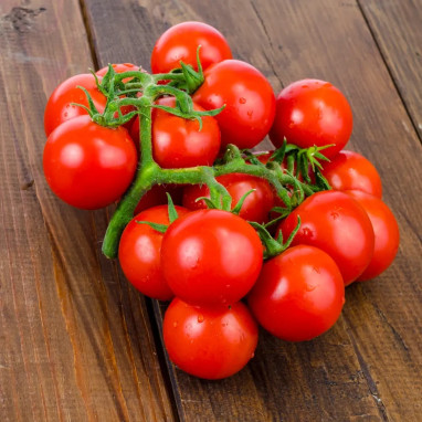Tomate Cerise BIO - Solanum lycopersicum | Achat producteur