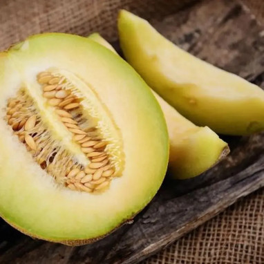 Melon vert Galia 'Masada' - Cucumis | Achat direct au producteur