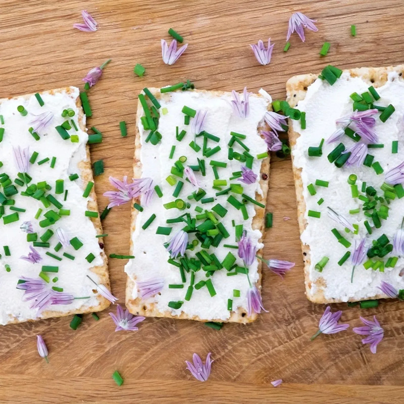 Ciboulette - Allium schoenoprasum | Achat direct au producteur