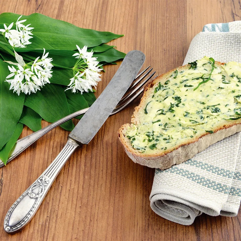 Allium ursinum - Ail des ours | Achat direct au producteur