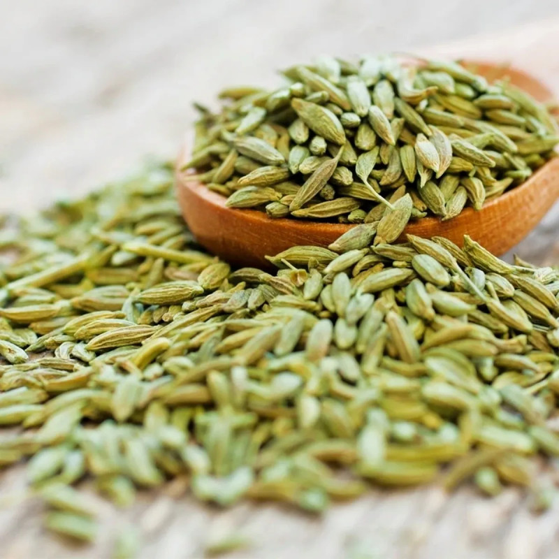Anis vert BIO - Pimpinella anisum | Achat direct au producteur