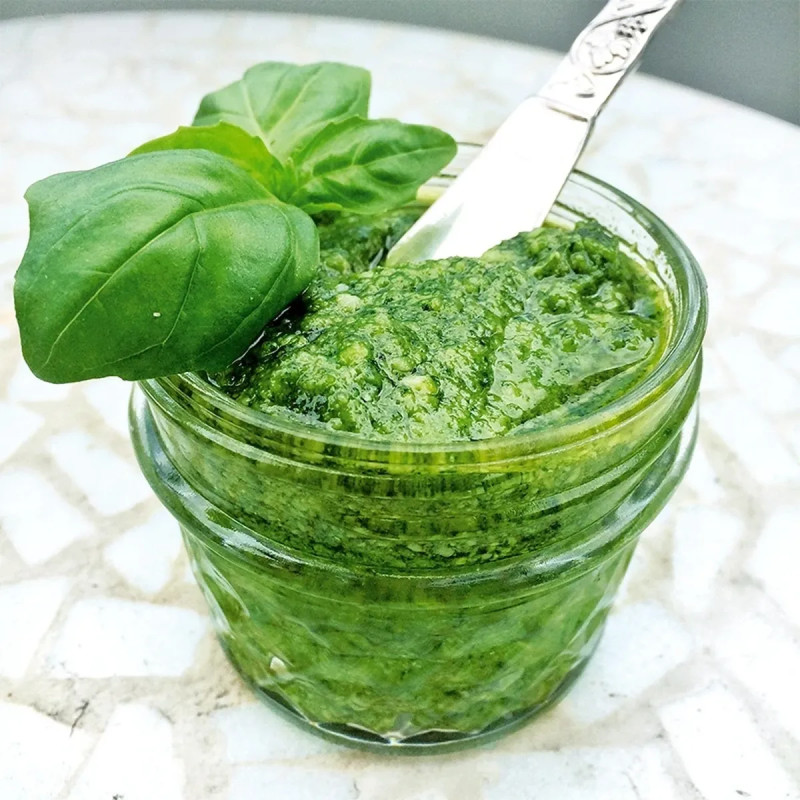 Basilic Grand vert - Ocimum basilicum | Achat direct au producteur