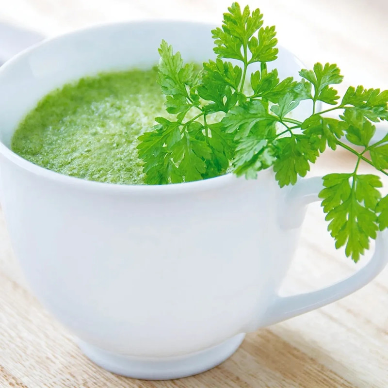 Cerfeuil frisé - Anthriscus cerefolium | Achat direct au producteur