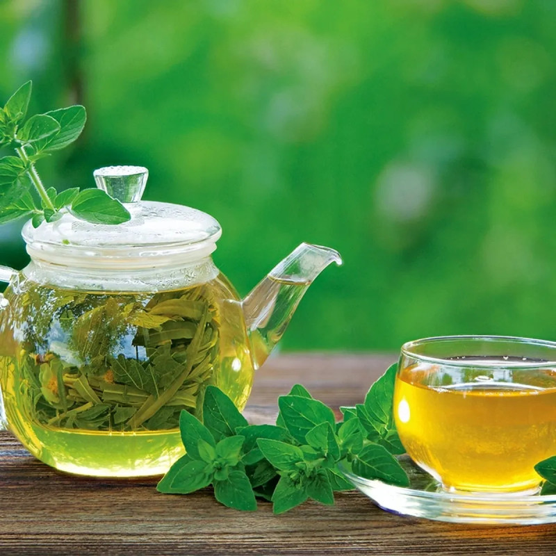Origan Bio - Origanum vulgare | Achat direct au producteur