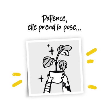 Hibiscus CHINA CHIFFON® 'Bricutts' - Hibiscus | Achat producteur