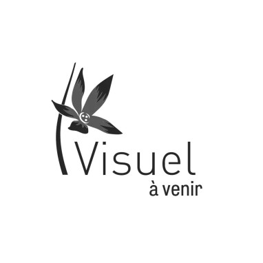 Clématite viticella 'Black Prince' - Clematis | Achat producteur