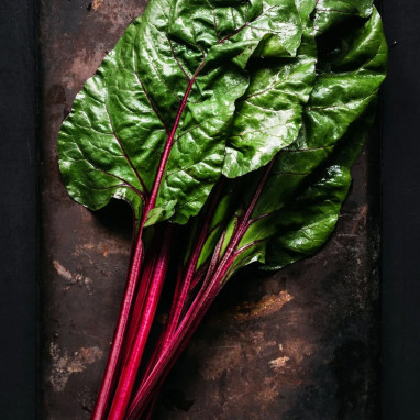 Poirée rouge 'Rhubarb Chard' - Beta vulgaris | Achat producteur