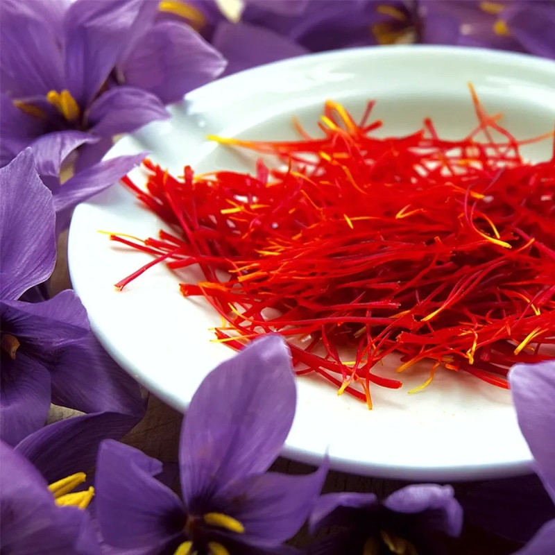 Crocus Sativus - Safran | Achat direct au producteur