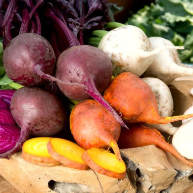 Betterave potagère Variées - Beta vulgaris | Achat direct au producteur