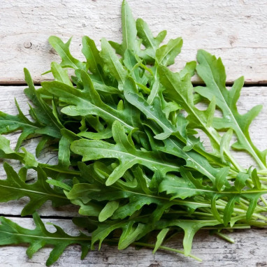 Roquette sauvage BIO - Diplotaxis | Achat direct au producteur