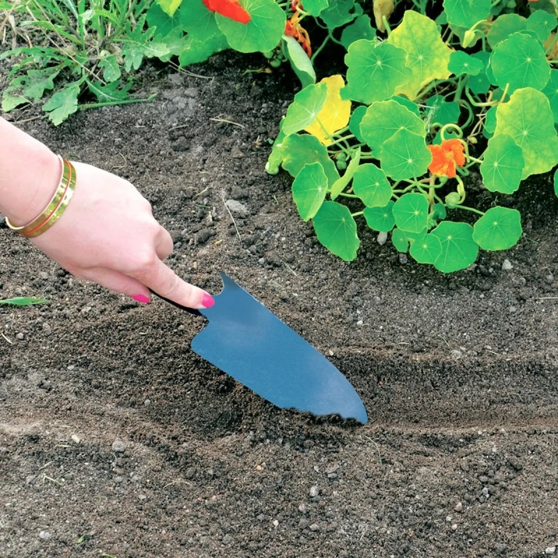 Laitue Batavia rouge/verte BIO - Lactuca | Achat direct au producteur
