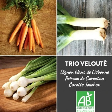 Trio Carotte Poireau Oignon BIO - Ruban de graines | Achat producteur