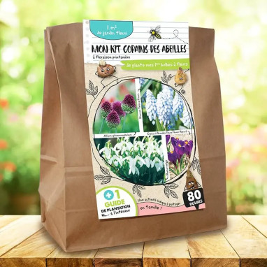 Kit Copain des abeilles - Bulbes mellifères | Achat direct au producteur