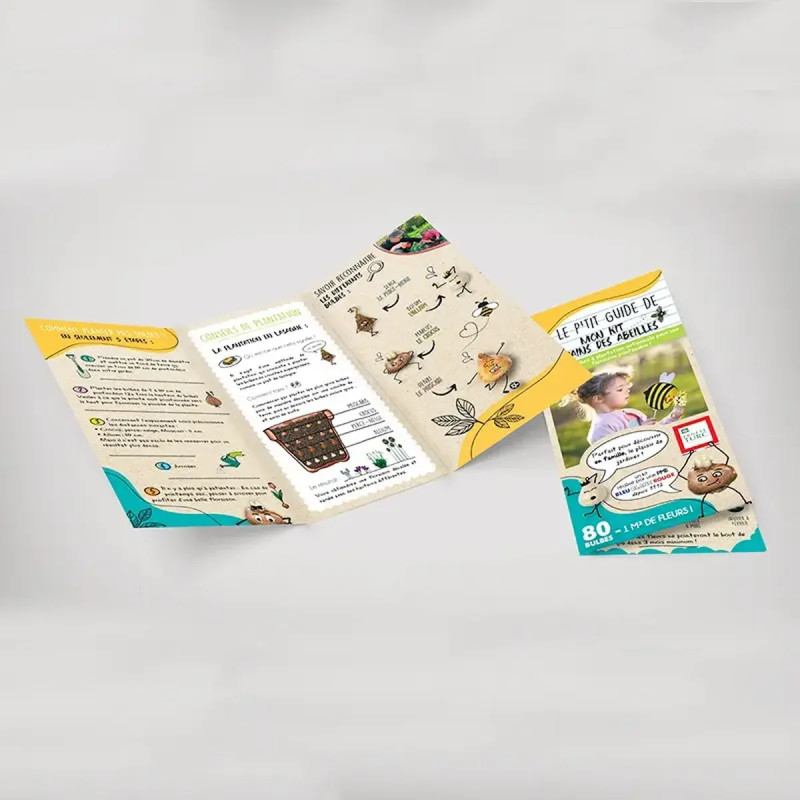 Kit Copain des abeilles - Bulbes mellifères | Achat direct au producteur