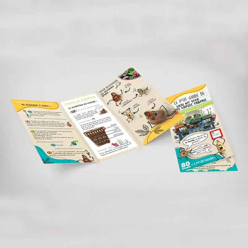 Assortiment Mon Kit Petits Espaces - Bulbes | Achat producteur