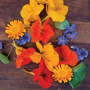 Mélange Fleurs Comestibles Bio - Achat direct au producteur