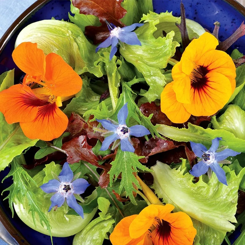 Mélange Fleurs Comestibles Bio - Achat direct au producteur