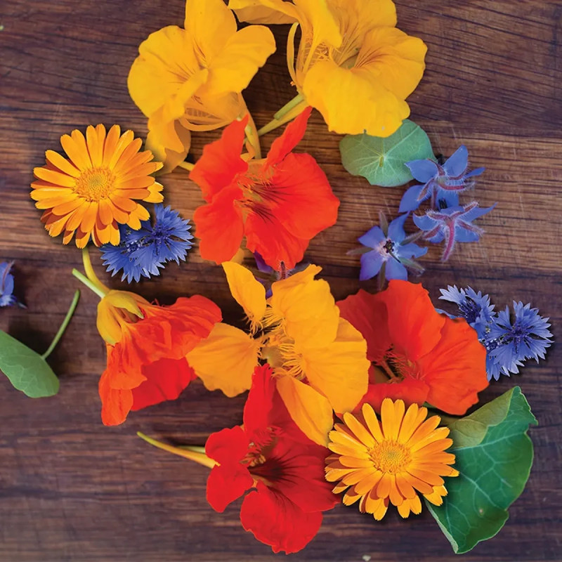 Mélange Fleurs Comestibles Bio - Achat direct au producteur