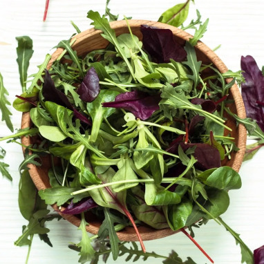 Mesclun Printemps Mélange Bio | Achat direct au producteur
