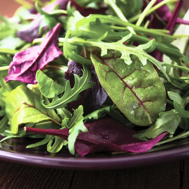 Mesclun Printemps Mélange Bio | Achat direct au producteur
