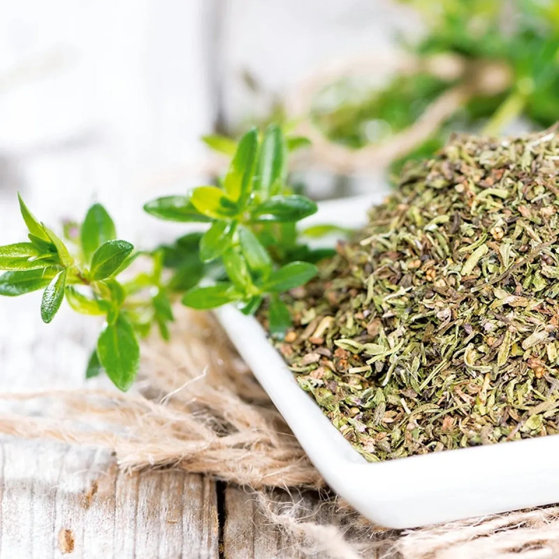 Sarriette annuelle - Satureja hortensis | Achat direct au producteur