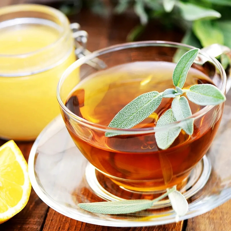 Sauge officinale - Salvia officinalis | Achat direct au producteur