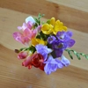 Freesias