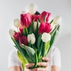 Tulipes pour bouquet