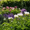Fleurs par saison