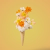 Fleurs de soleil