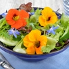 Fleurs comestibles