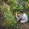 Graines potagères bio