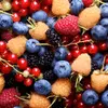 Petits fruits