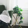 Plantes par pièce