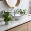 Plantes de salle de bain