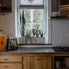 Plantes de cuisine