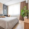 Plantes de chambre