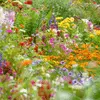 Par couleurs