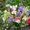 Plantes pour bouquet