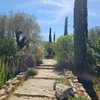 Jardins méditerranéens