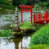 Jardins japonais