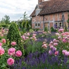 Jardins parfumés