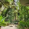 Jardins d'hiver